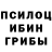 Псилоцибиновые грибы Magic Shrooms gina fuentes
