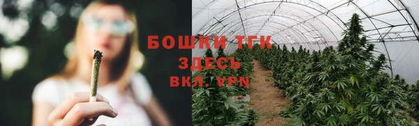 скорость Снежногорск