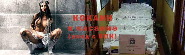 mdpv Кадников