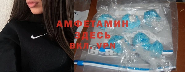 прущие грибы Россошь