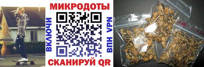 Псилоцибиновые грибы MAGIC MUSHROOMS  Купить закладки  Инза 